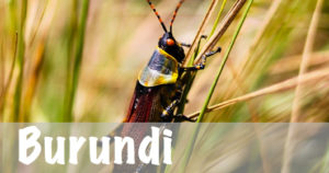 National Parks Guy, Burundi National Parks