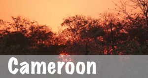 National Parks Guy, Cameroon National Parks