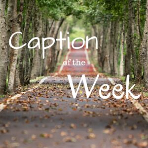 Maurice Randall, National Parks Guy, Share, Information, Stories