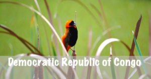 National Parks Guy, Democratic Republic of Congo National Parks