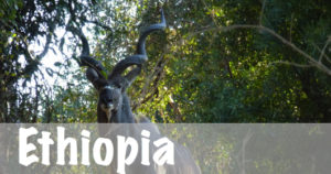 National Parks Guy, Ethiopia National Parks