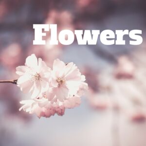 Maurice Randall, National Parks Guy, Share, Information, Stories