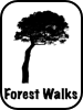 United Kingdom National Parks Forest Walking Activities | National Parks Guy