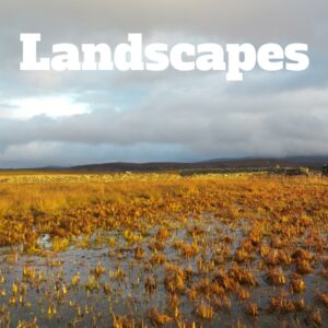 Maurice Randall, National Parks Guy, Share, Information, Stories