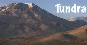Tundra Habitats - Explore | Blog | Review - National Parks Guy Safari's the National Parks of the world. Join the adventure!
