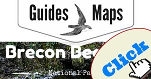 Brecon Beacons Guide, National Parks Guy