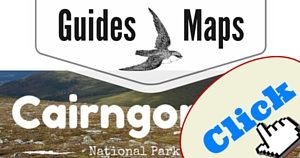 Cairngorms Guide, National Parks Guy