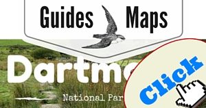 Dartmoor Guide, National Parks Guy