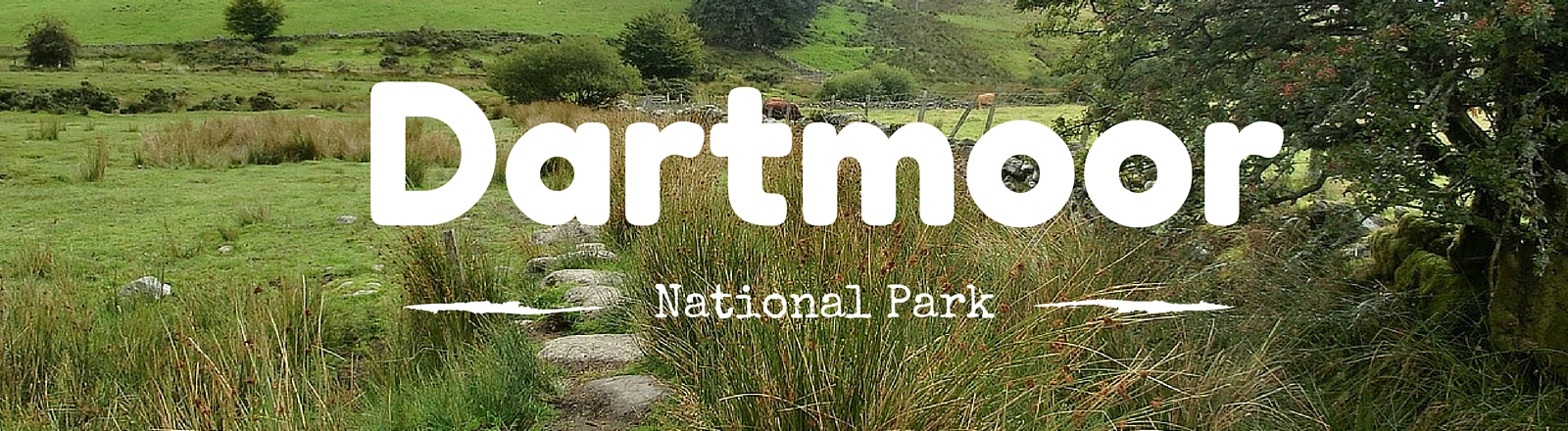 Dartmoor National Park | National Parks Guy