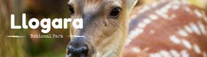 Llogara National Park, National Parks Guy