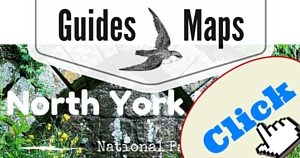 North York Moors Guide, National Parks Guy
