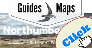 Northumberland Guide, National Parks Guy