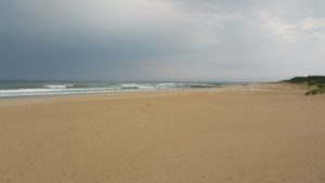 National Parks Guy, Exploring the Garden Route National Park, Jefferys Bay, Surfing