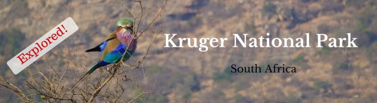 Exploring the Kruger National Park