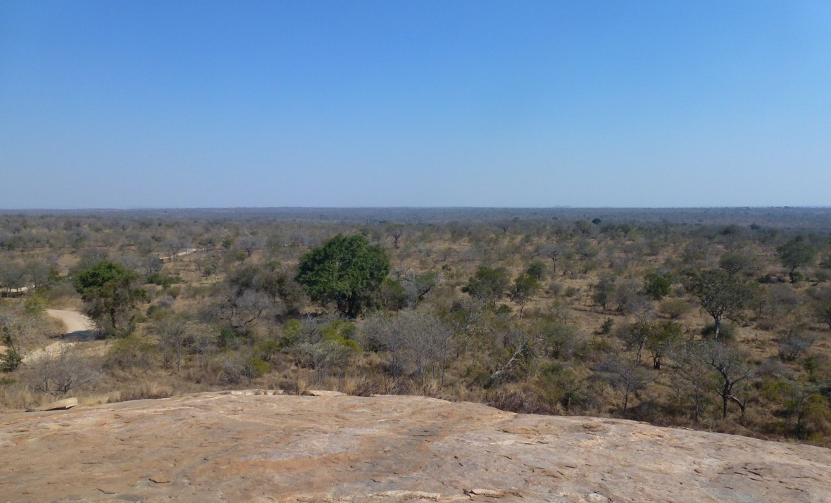 National Parks Guy, Exploring the Kruger National Park