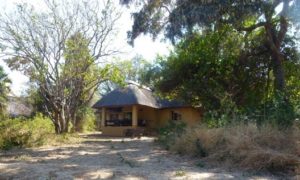 National Parks Guy, Exploring the Kruger National Park, Sirenhi Bushcamp