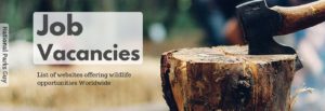 Wildlife Job Vacancies, Wildlife, National Parks, employment, Ranger, Warden, Guide, Conservationist, Scientist, Volunteer, National Parks Guy