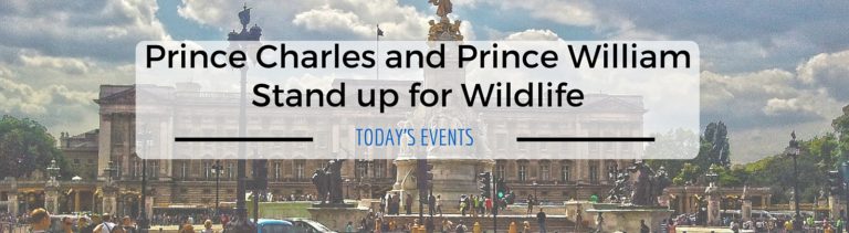 Prince Charles and Prince William Stand up for Wildlife