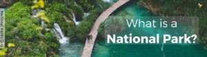 What is a National Park, National Parks Guy