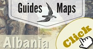 Albania Guide, National Parks Guy