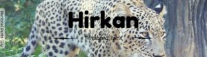 Hirkan National Park, Azerbaijan, National Parks Guy