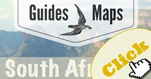 South Africa Guide, National Parks Guy