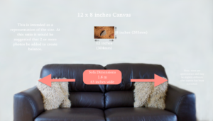 Maurice Randall, National Parks Guy, Share, Information, Stories