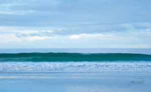 Maurice Randall, National Parks Guy, Share, Information, Stories