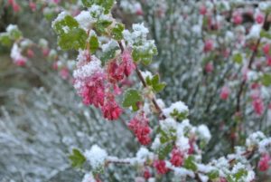 Exploring the Cairngorm National Park, National Parks Guy