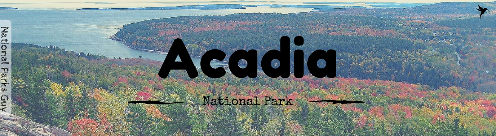 Acadia National Park, USA, National Parks Guy, Stories, Tales, Adventures, Wildlife