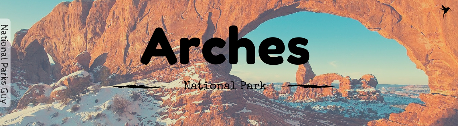 Arches National Park, USA, National Parks Guy, Stories, Tales, Adventures, Wildlife