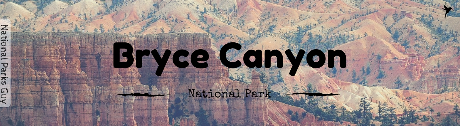 Bryce Canyon National Park, USA, National Parks Guy, Stories, Tales, Adventures, Wildlife