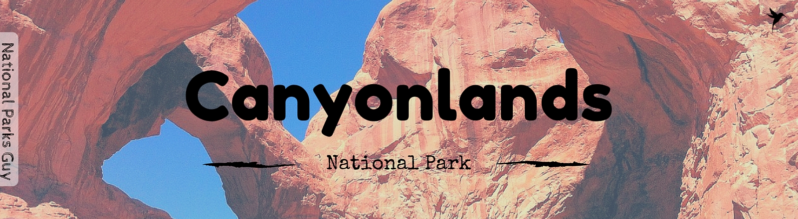 Canyonlands National Park, USA, National Parks Guy, Stories, Tales, Adventures, Wildlife