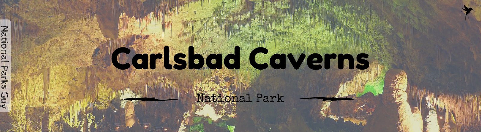 Carlsbad Caverns National Park, USA, National Parks Guy, Stories, Tales, Adventures, Wildlife