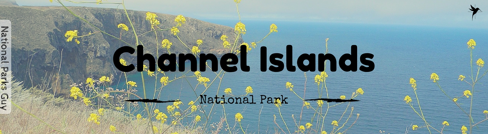 Channel Islands National Park, USA, National Parks Guy, Stories, Tales, Adventures, Wildlife