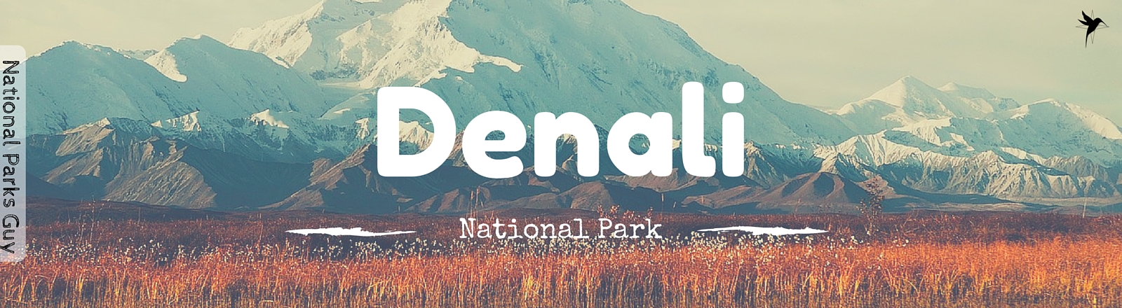 Denali National Park, USA, National Parks Guy, Stories, Tales, Adventures, Wildlife