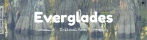 Everglades National Park, USA, National Parks Guy, Stories, Tales, Adventures, Wildlife