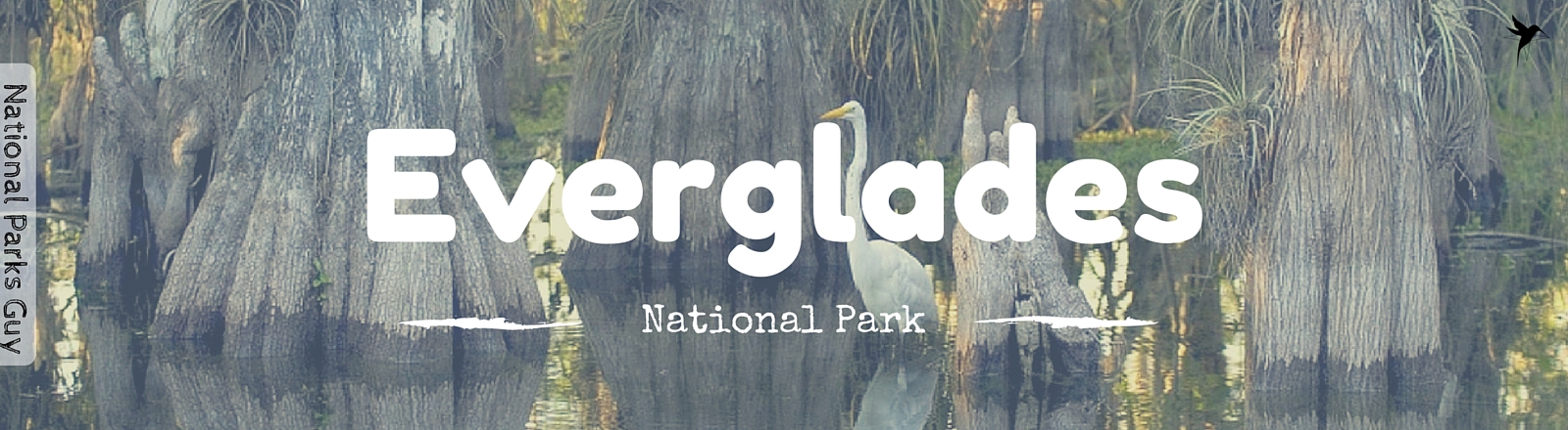 Everglades National Park, USA, National Parks Guy, Stories, Tales, Adventures, Wildlife