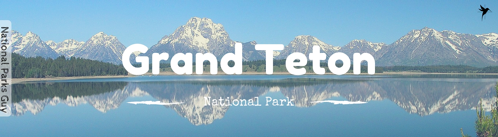 Grand Teton National Park, USA, National Parks Guy, Stories, Tales, Adventures, Wildlife