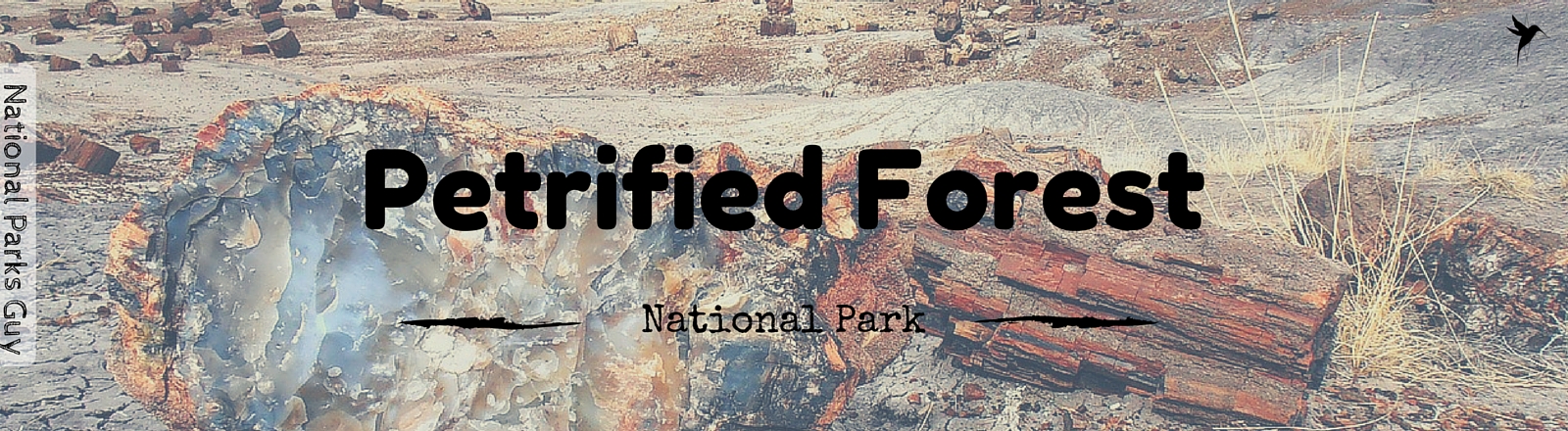 Petrified Forest National Park, USA, National Parks Guy, Stories, Tales, Adventures, Wildlife