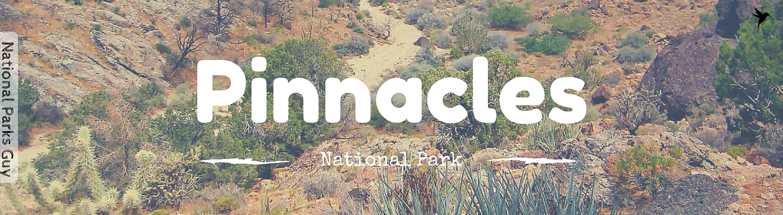 Pinnacles National Park, USA, National Parks Guy, Stories, Tales, Adventures, Wildlife