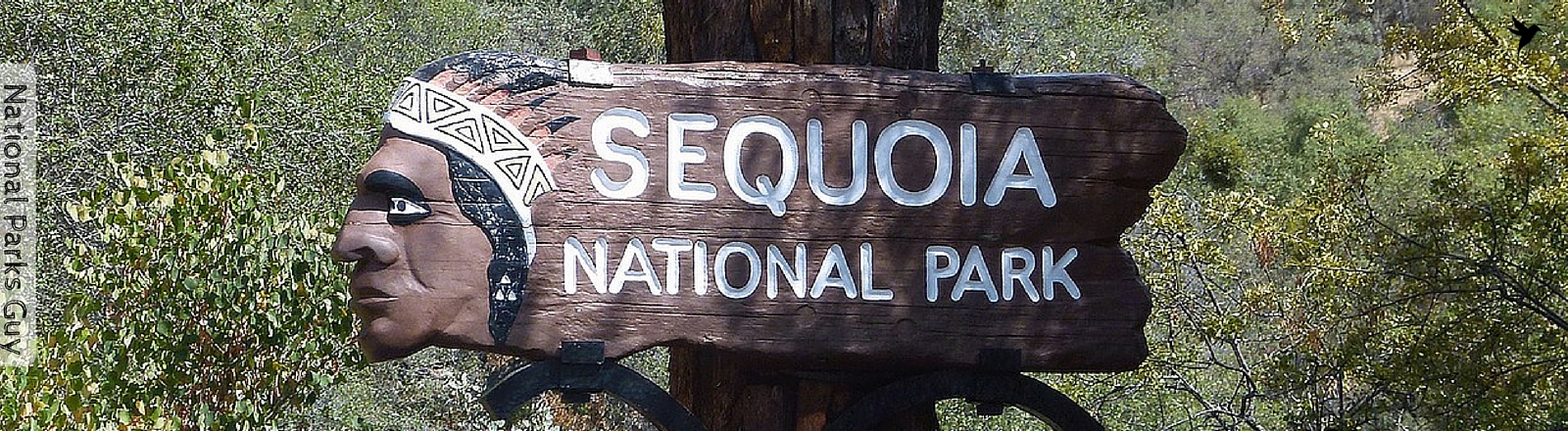 Sequoia National Park, USA, National Parks Guy, Stories, Tales, Adventures, Wildlife