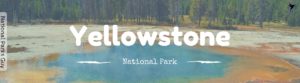 Yellowstone National Park, USA, National Parks Guy, Stories, Tales, Adventures, Wildlife