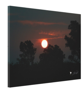 Sunset, Maurice Randall
