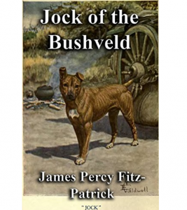 Feel good, South Africa