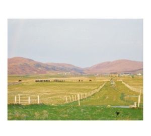 Machair, Maurice Randall