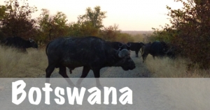 Botswana National Parks                         