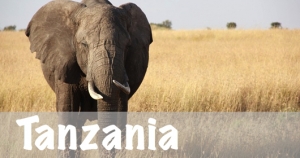 Tanzania National Parks    