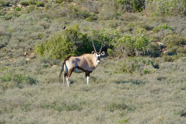 Karoo National Park | National Parks Guy