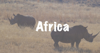 National Parks of Africa | National Parks Guy | Explore | Blog | Story                